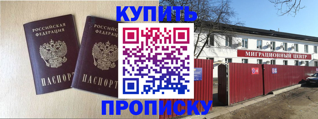 прописка поиск в Пионерском